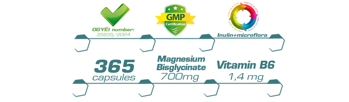 Magnesium Bisglycinate 700 mg + Vitamin B6